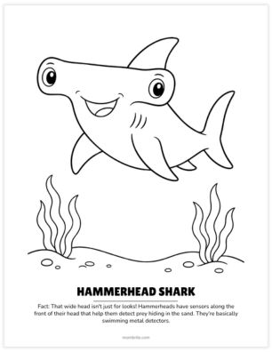 friendly hammerhead shark coloring page