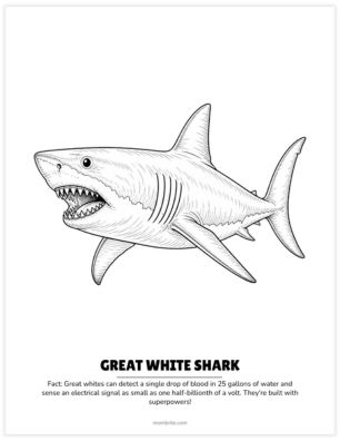 realistic great white shark coloring page