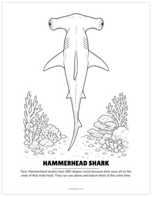 realistic hammerhead shark coloring page