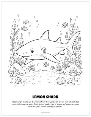 lemon shark coloring page