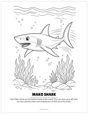 mako shark coloring page