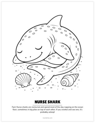 sleeping nursing shark coloring page