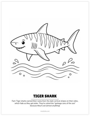 tiger shark coloring page