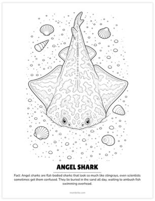 angel shark coloring page