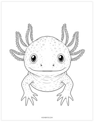 realistic axolotl face coloring page