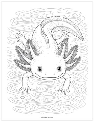 realistic axolotl with water coloring page