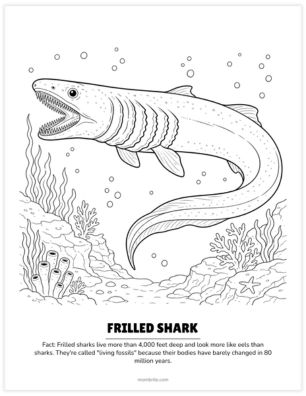frilled shark coloring page