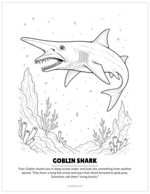 goblin shark coloring page