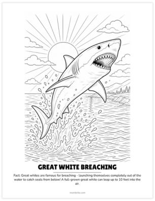 great white breaching coloring page