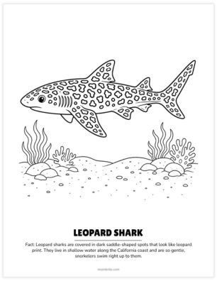 leopard shark coloring page