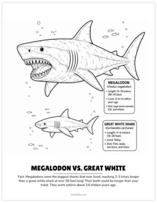 megalodon vs great white shark coloring page
