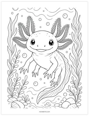 realistic axolotl coloring page for adults