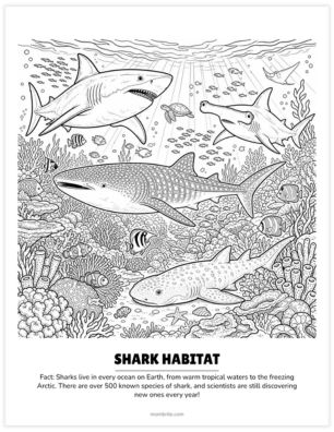 shark habitat coloring page