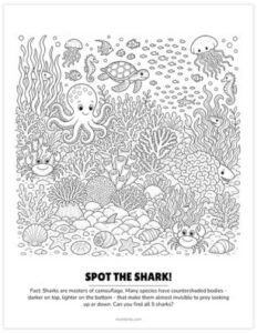 29 Shark Coloring Pages Your Kids Will Love (Free Printable PDF) - Mombrite