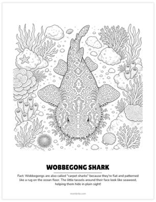 webbegong shark coloring page