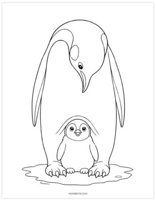 Baby penguin chick on emperor penguin dad's feet coloring page