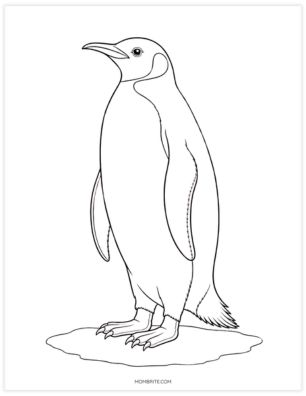 Realistic emperor penguin standing upright coloring page