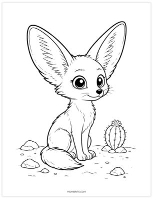 Fennec fox with big ears coloring page