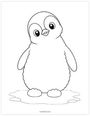 Fluffy baby penguin chick coloring page