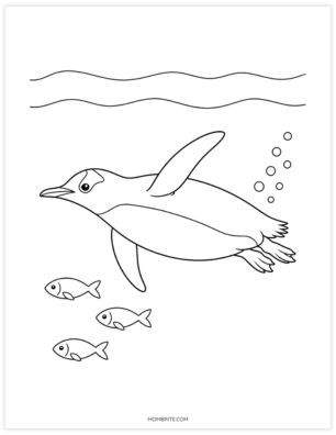 Gentoo penguin swimming underwater with bubbles and fish coloring page