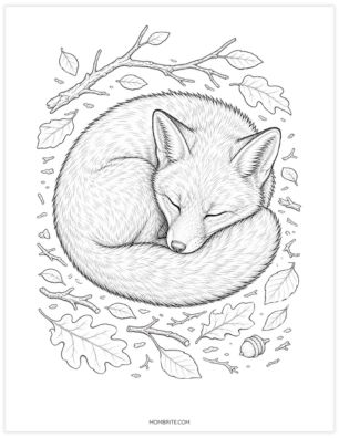 Realistic baby fox curled up sleeping coloring page