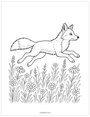Red fox running through a meadow coloring page