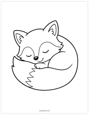 Sleeping baby fox curled up coloring page