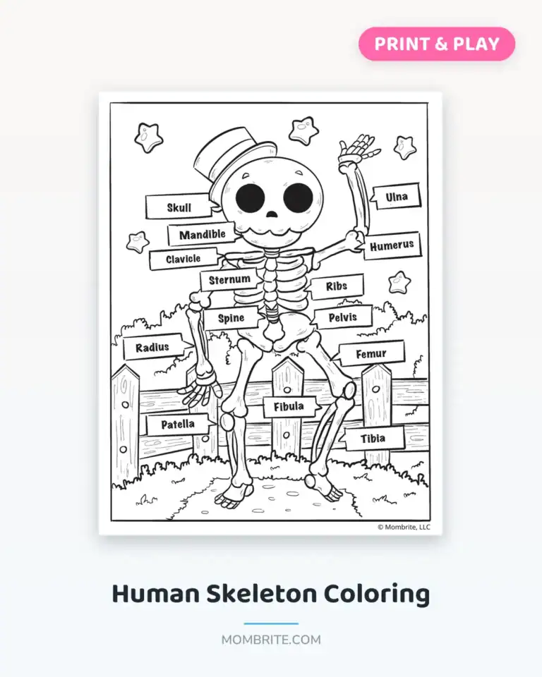 human skeleton coloring cover