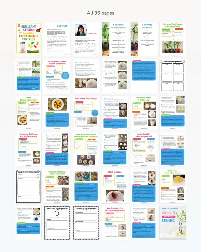 kitchen science pack contents
