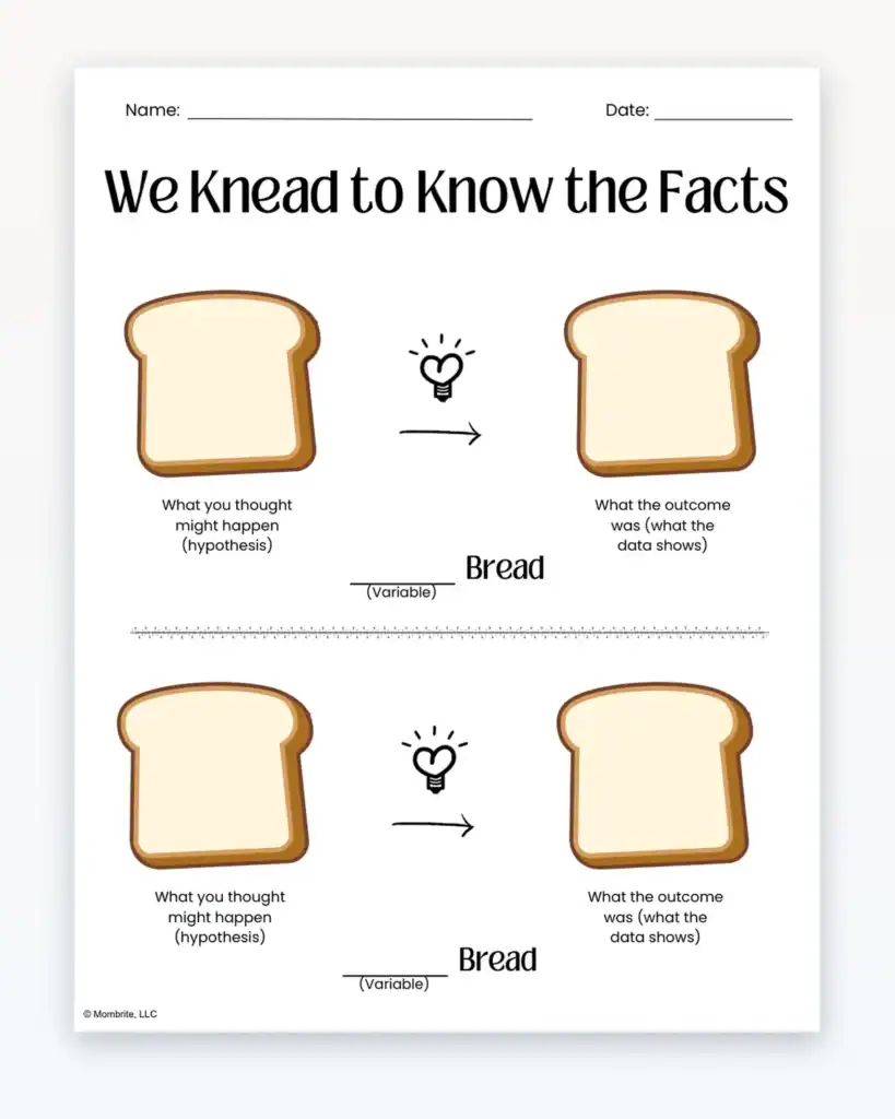 Moldy Bread Experiment Know the Facts Preview