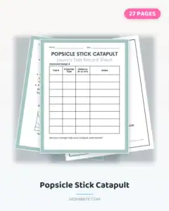 popsicle stick catapult cover