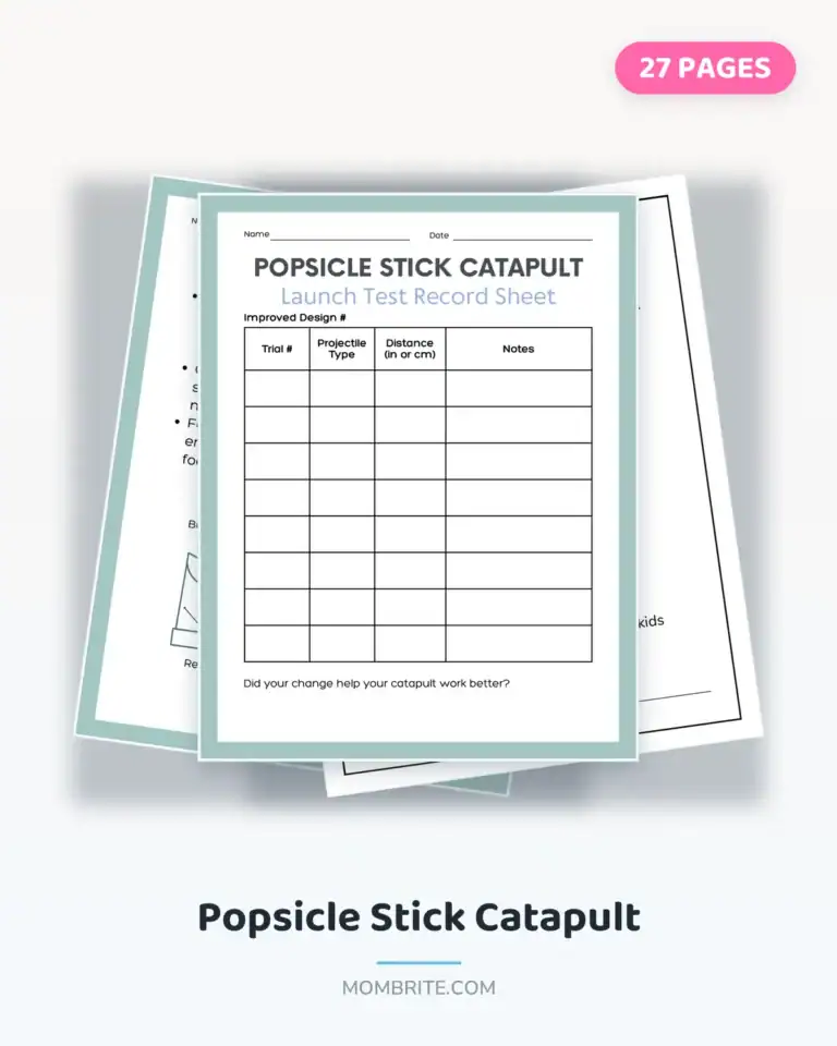 popsicle stick catapult cover