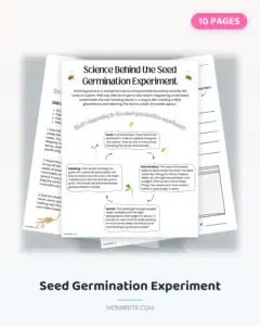 seed germination experiment cover