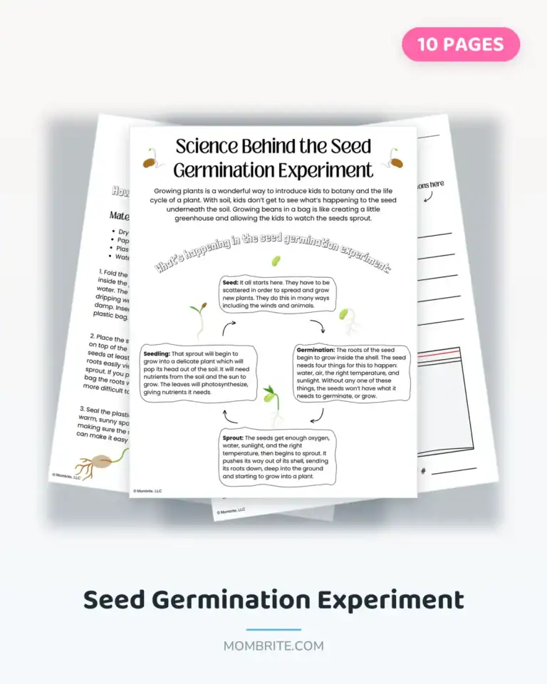 seed germination experiment cover