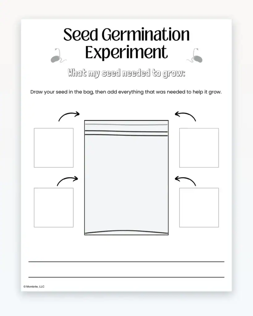 seed germination experiment preview 3